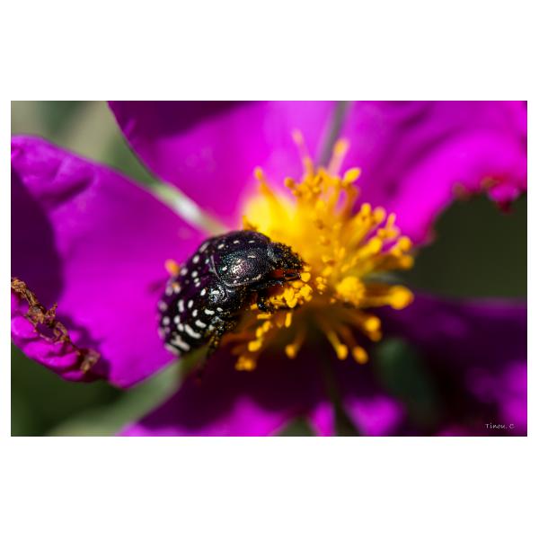 PHOTO84, CLUB, 84 , LUBERON